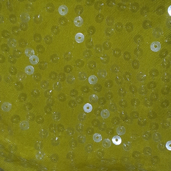 🐞Ann Taylor LOFT Brand Green Sequin Tank Top Sz S - Picture 7 of 7